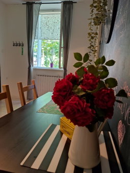 Apartman Dux, Karlovac, Croatia