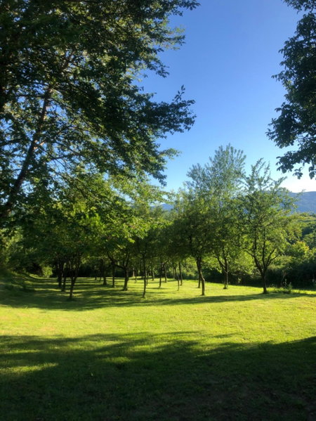 Apartments Smirnov, Drežnik Grad, Croatia