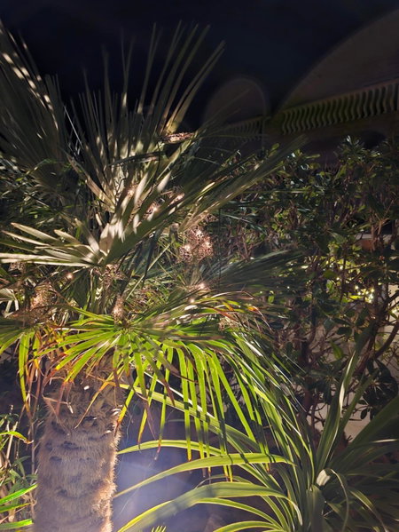 Apartment Melani, Vir, Croatia