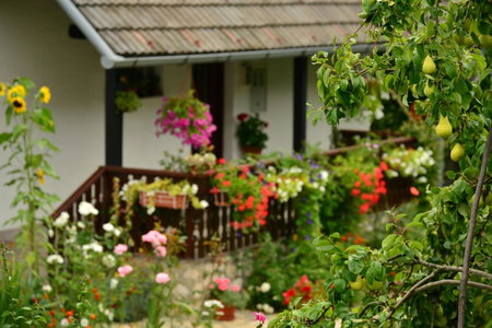 House Nina, Poljanak, Croatia