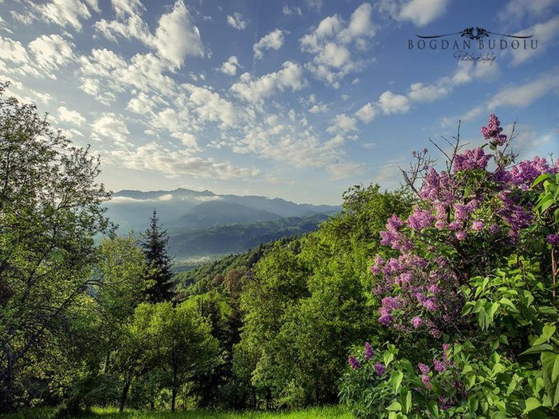Alpine Escape Studios, Măgura, Romania