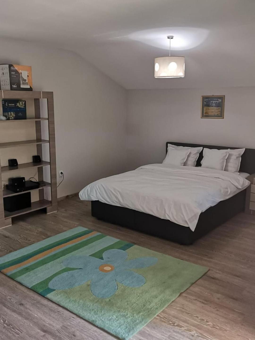 Viking Apartment Grigo, Roumanie