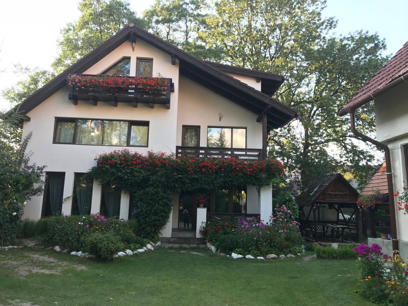 Relax, Bran, Romania