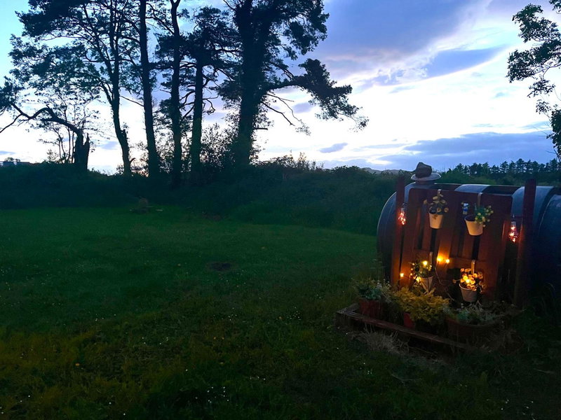 Daffodil Lodge, Sligo, Ireland