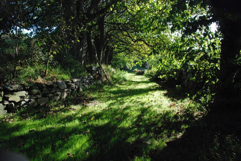 The Long Barn, Skibbereen, Irlanda