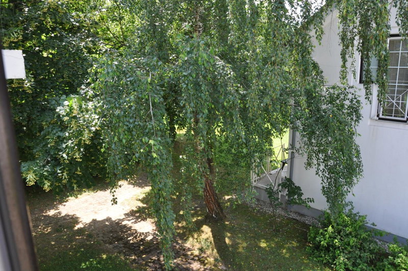 Vas Lipa 8 - 36, Podčetrtek, Slovenia