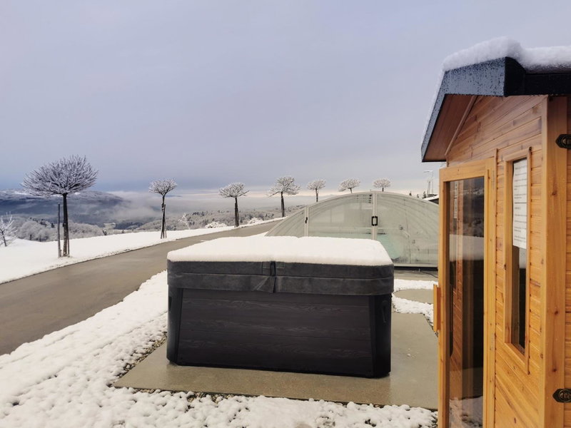 Three Stars Luxury House ART-PE with pool and SPA pool, Trebnje, Slowenien