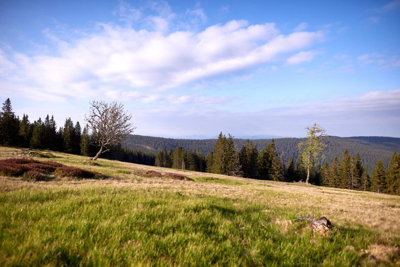 Bungalows Rogla, Zreče, Slowenien