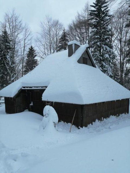 Koča Pastirica - Velika planina, Stahovica, Slovénie