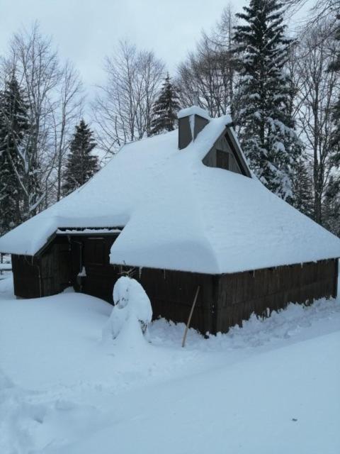 Koča Pastirica - Velika planina, Stahovica, Slovénie