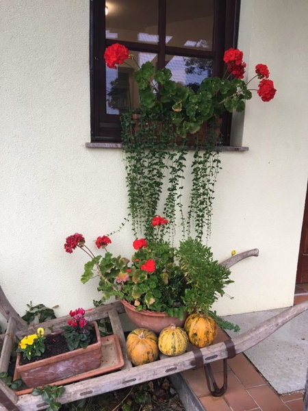 Apartments Mali Raj, Dolenci, Slovenia