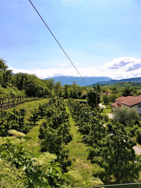 Apartma BAJČI, Ajdovščina, Словения