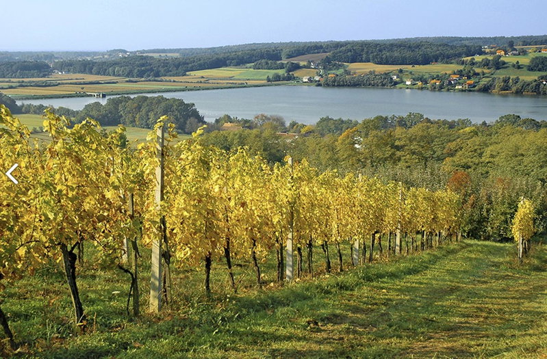 Tourist Farm Ferencovi, Cankova, Словения