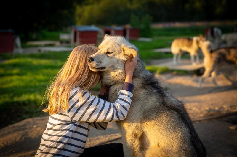 Cabin Huskyfarm Innset, Innset, Norway