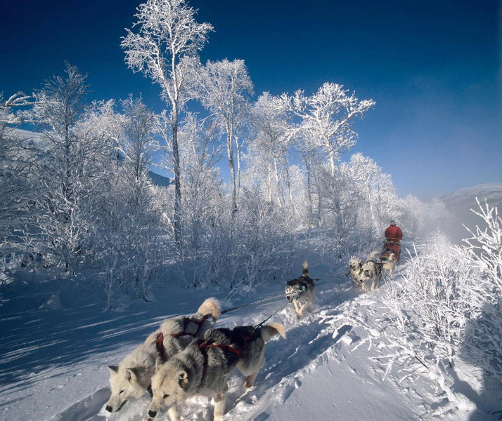 Cabin Huskyfarm Innset, Innset, Norway