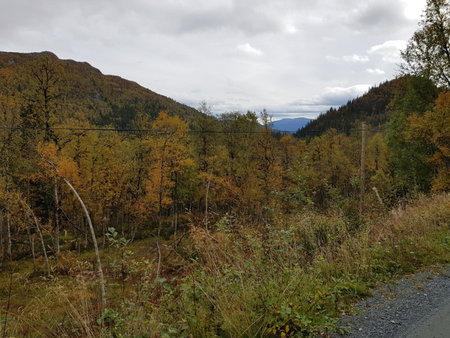 Leilighet i Åmotsdal, Åmotsdal, Norway