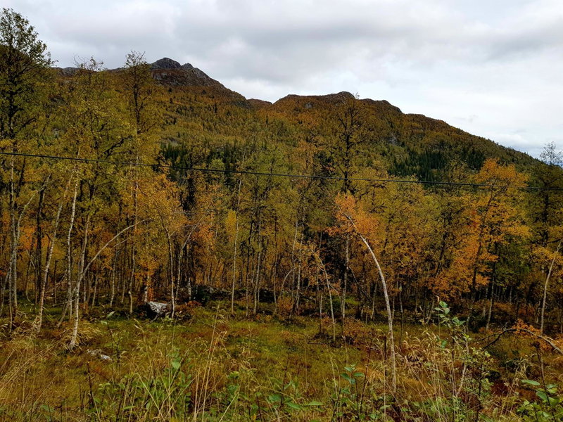 Leilighet i Åmotsdal, Åmotsdal, Norway