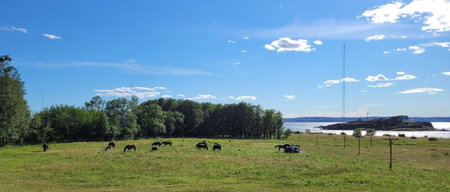 Hotell Jeløy Radio, Moss, Norway