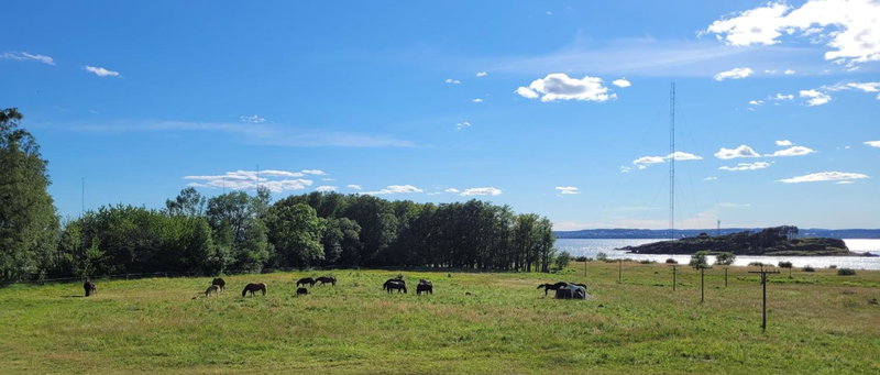 Hotell Jeløy Radio, Moss, Norway