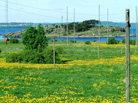Hotell Jeløy Radio, Moss, Norway