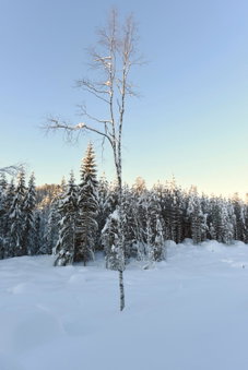 Fresh Familie Hytte Hemsedal with Outdoor Sauna, Hemsedal, Norway