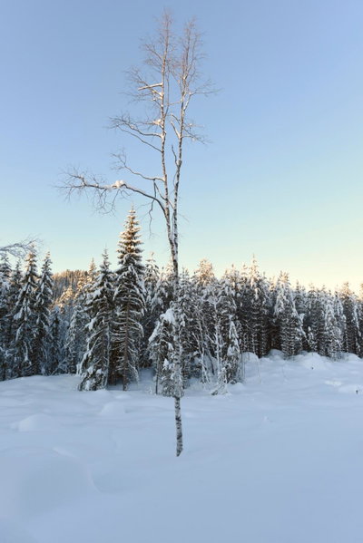 Fresh Familie Hytte Hemsedal with Outdoor Sauna, Hemsedal, Norway
