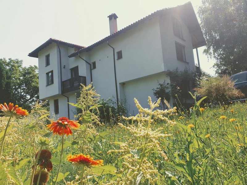 Guest House Ela, Dolna Banya, Bulgaria