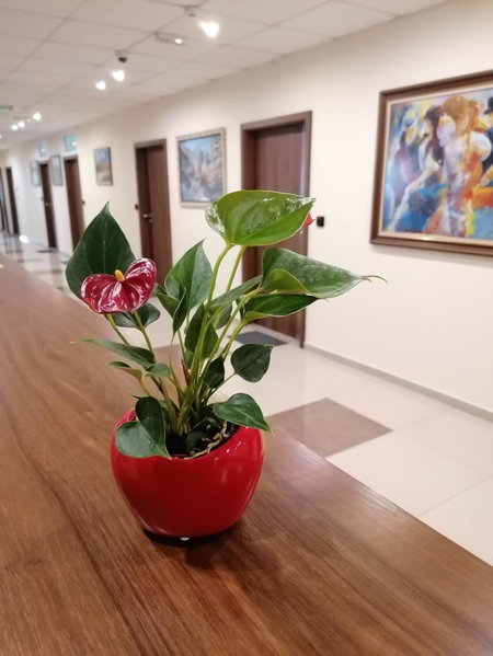 Hotel Lago Peshtera, Peshtera, Болгария