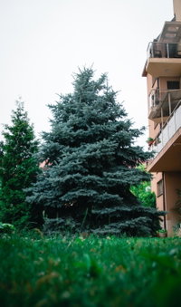 Holiday Apartment 7, Hisarya, Bulgarien