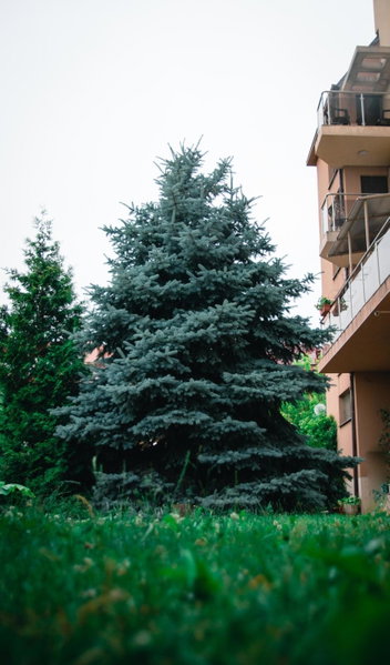 Holiday Apartment 7, Hisarya, Bulgarien
