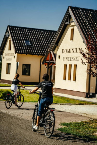 Dominium Pincészet és Panzió, Gyöngyös, Hungary