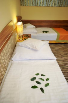 Park Hotel Gyula, Gyula, Hungary