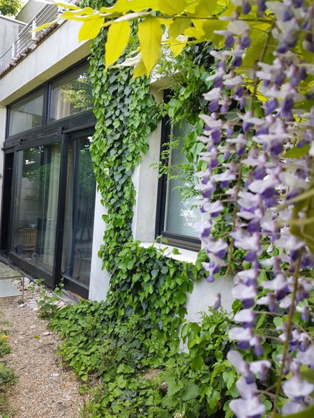 Apartment Breeze, Bratislava, Slowakei