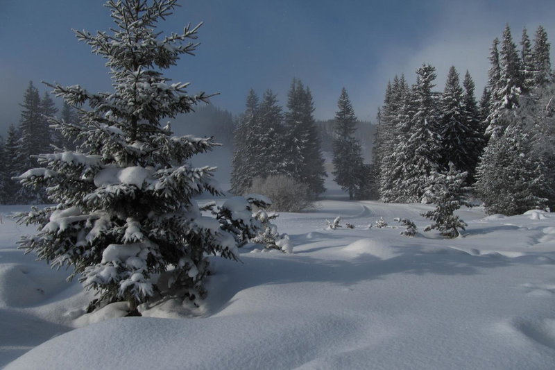 Apartmán Štrbské Pleso - Crocus 219, Vysoke Tatry - Strbske Pleso, Eslovaquia