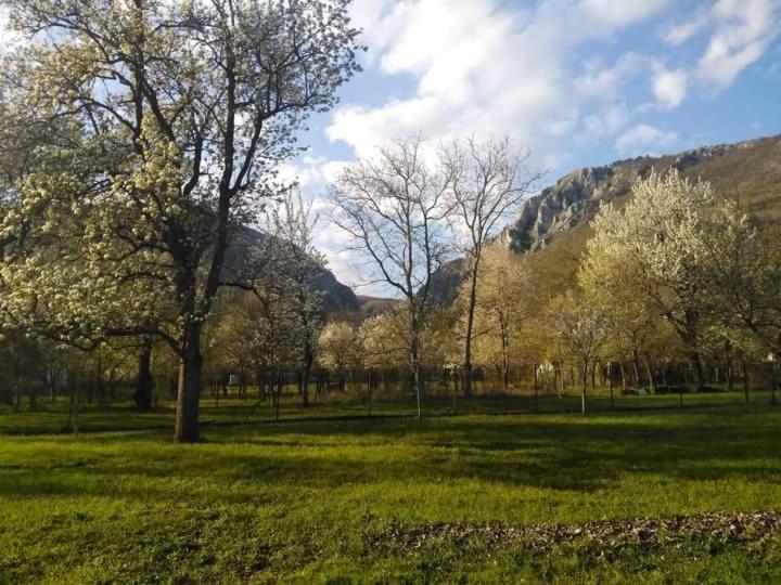 Family Apartman Szádelő - Zádiel, Zádiel, Словакия