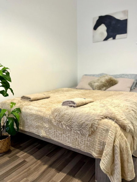 Apartment Adele - Old Town, AC, Bratislava, Slovakia