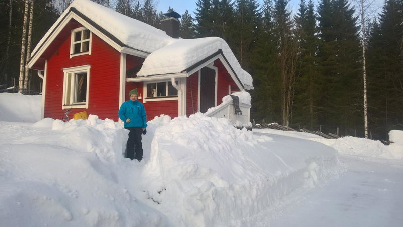 Metsäpirtti, Kolinkylä, Finland