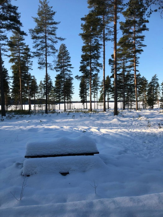 Joutiaisentie H 44 Sunset apartment, Joutsa, Finland