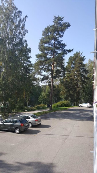 Savonlinna Holidays apartments, Savonlinna, Finnland