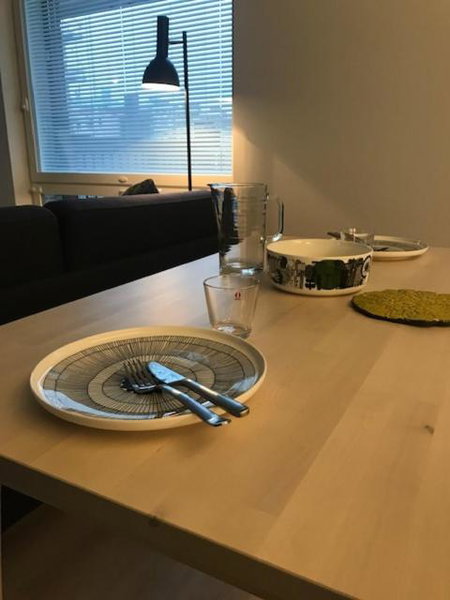 PikkuParlamentti, Pori, Finland