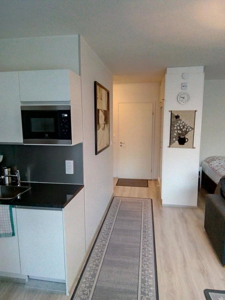 Parantolankatu modern one room apartment, Hyvinkää, Финляндия
