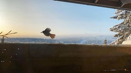 Ylämaja - with a stunning view, Ruka, Finland