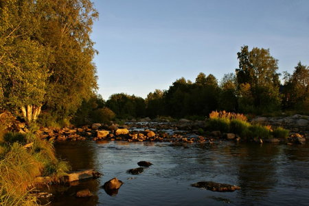 Pärus Fors, Lapväärtti, Finland