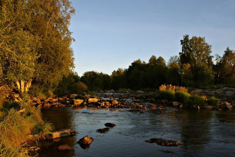 Pärus Fors, Lapväärtti, Finland