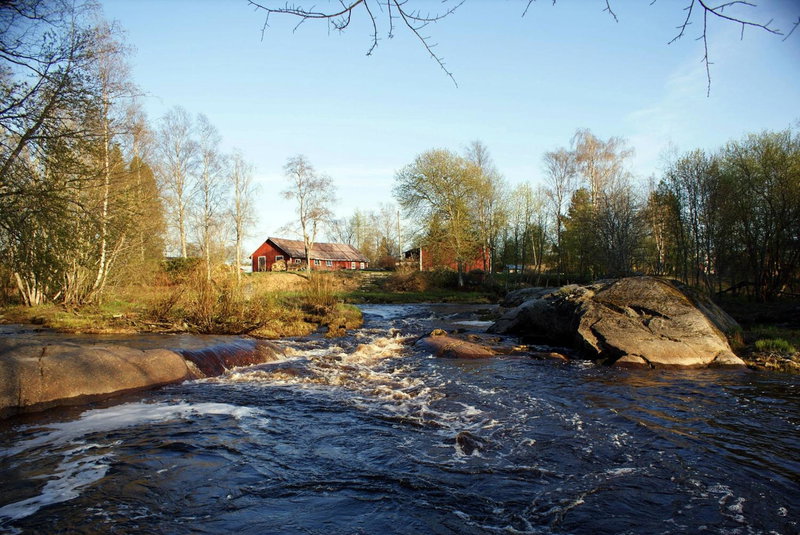 Pärus Fors, Lapväärtti, Finland