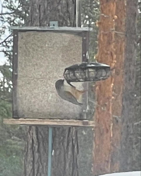 Loppiaiskaari 5, Paljakka, Kotila, Finland