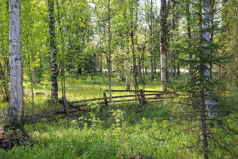 Kuukkeli Ivalo Arctic House, Ivalo, Финляндия