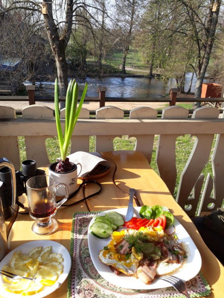 Sodyba "Gervinė", Ginučiai, Lithuania