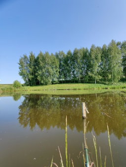Žalioji, Padustis, Lithuania