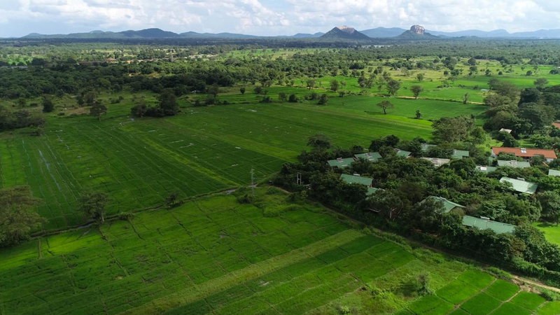 Camellia Resort and Spa, Sigiriya, Шри-Ланка